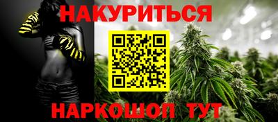 jwh Нальчик
