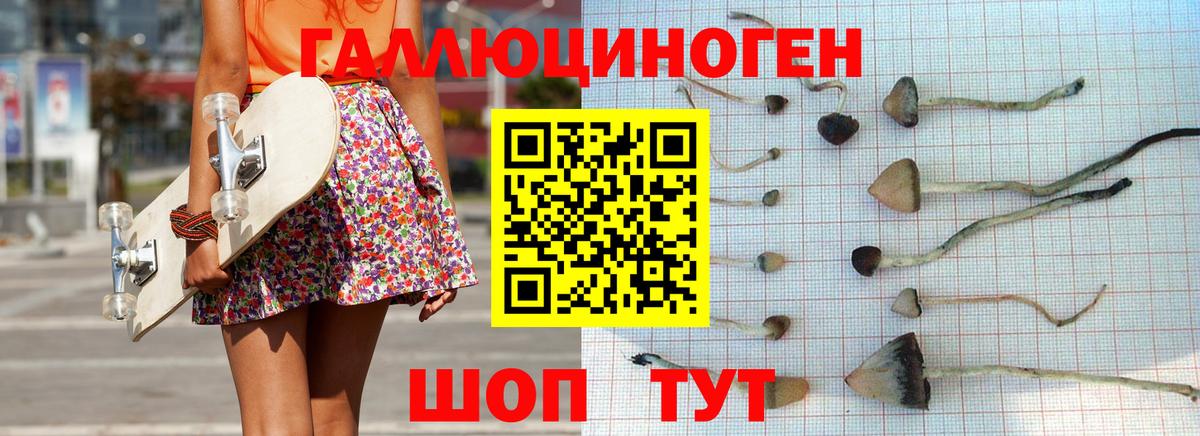 Псилоцибиновые грибы ЛСД  цены   Холмск  Вход с VPN 